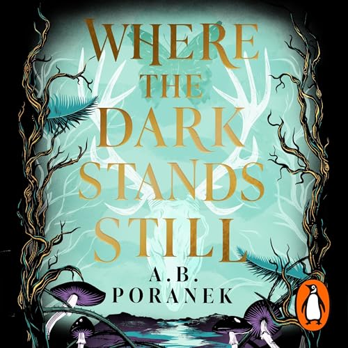 Where the Dark Stands Still by A. B. Poranek