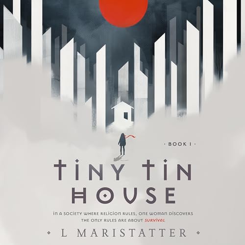 Tiny Tin House by L Maristatter