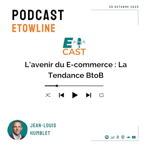 L'avenir du E-commerce : La Tendance BtoB by Unknown