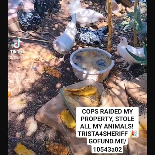 IMPORTANT AUDIO FROM OBJECTIVE WITNESS AT POLICE RAID 8/30 TITLE 18 B****** TRISTA4SHERIFF 🎉 by Unknown