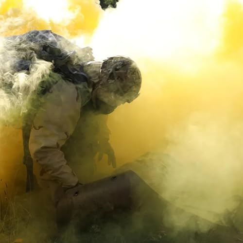 THE BIG PICTURE: How Anthrax & the War on Terror Brought Us to the Brink of WWIII by Unknown