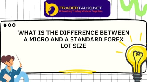 Trader Part 36 - what is the difference between a micro and a standard forex lot size by Unknown