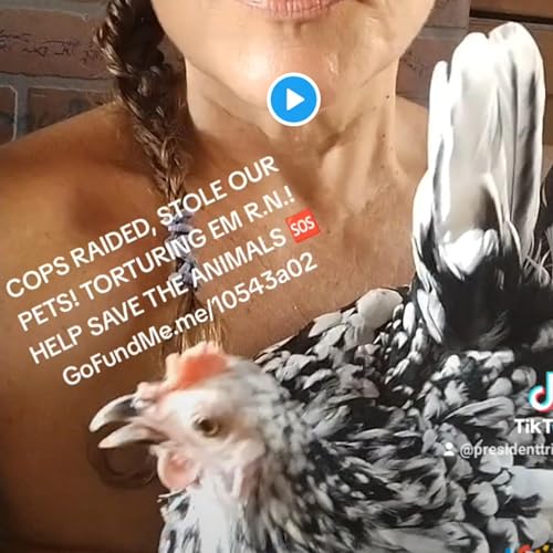 6HRS LATEST MEIDASTOUCH CLIPS! & AUDIO FROM POLICE RAID ON SHERIFF CANDIDATE TRISTA! AUG30,'23 8:45A by Unknown