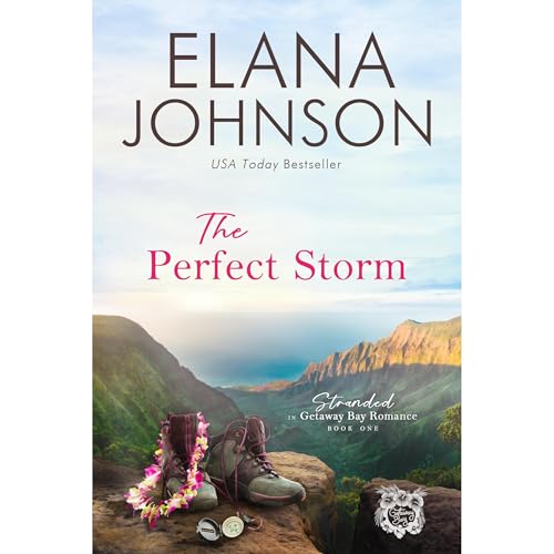 The Perfect Storm by Elana Johnson
