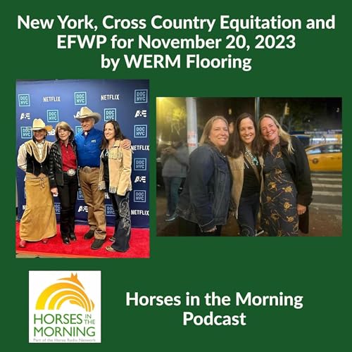 HITM for November 20, 2023: New York, Cross Country Equitation and EFWP by WERM Flooring by Unknown