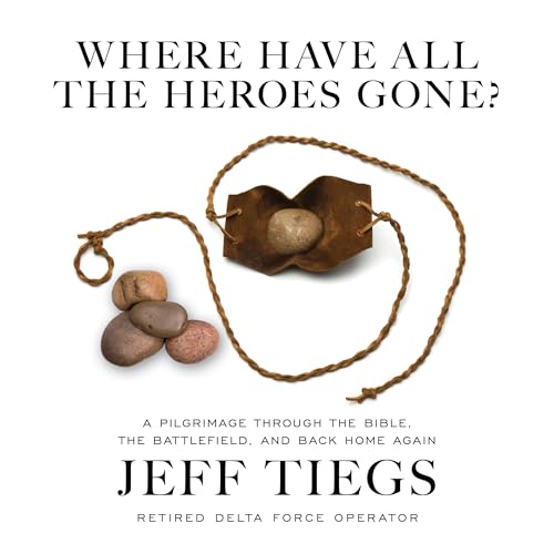 Where Have All the Heroes Gone? by Jeff Tiegs