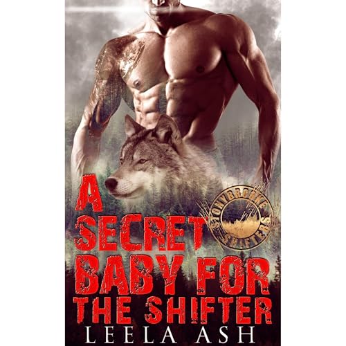 A Secret Baby for the Shifter
