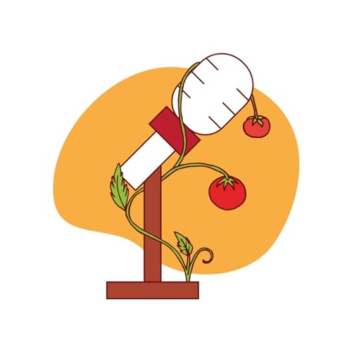 Direto do Pé by Thais Fernandes