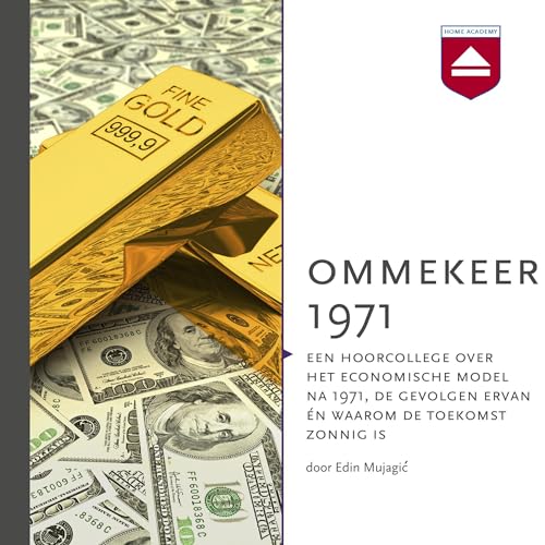 Ommekeer 1971 by Edin Mujagić