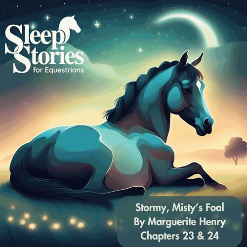 Pt. 12: Stormy, Misty's Foal by Marguerite Henry - Sleep Stories for Equestrians