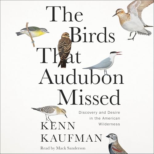 The Birds That Audubon Missed
