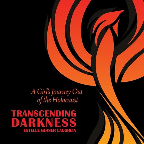 Transcending Darkness by Estelle Glaser Laughlin