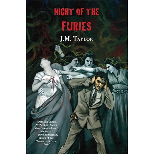 Night Of The Furies by J. M. Taylor