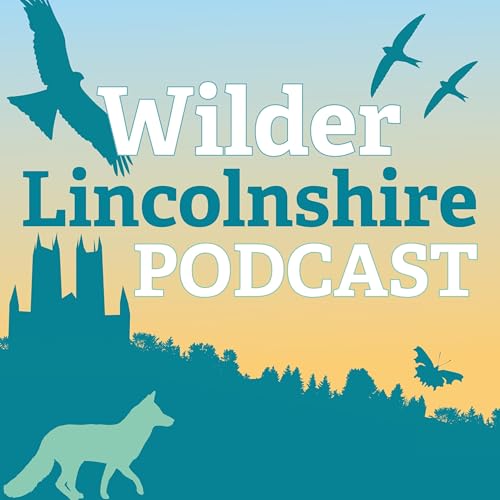 Wilder Lincolnshire Podcast by Lincolnshire Wildlife Trust