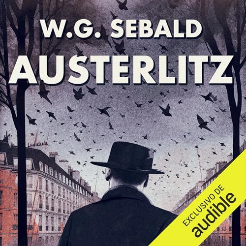 Austerlitz by Miguel Sáenz - traductor