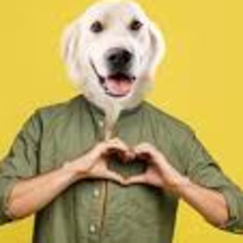 SCG- Golden Retriever Men by Unknown