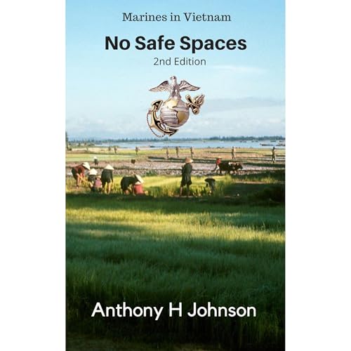 No Safe Spaces by Anthony H Johnson