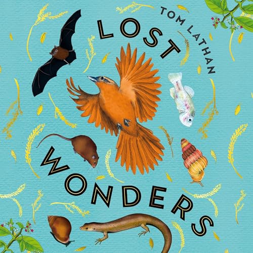 Lost Wonders by Tom Lathan