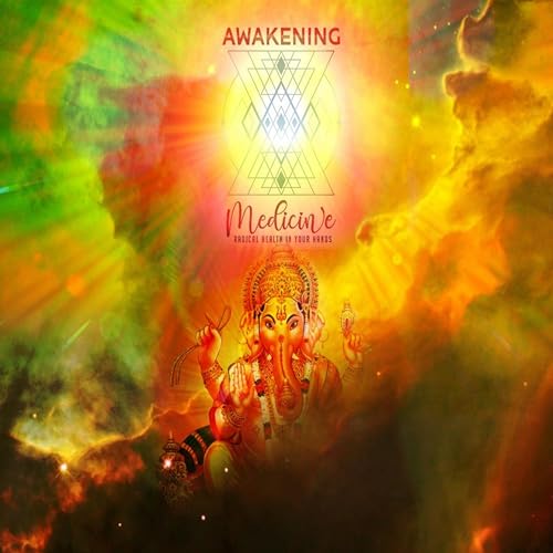 Awakening Medicine by Holly E. Mullin