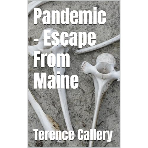 Pandemic - Escape From Maine by Terence Callery