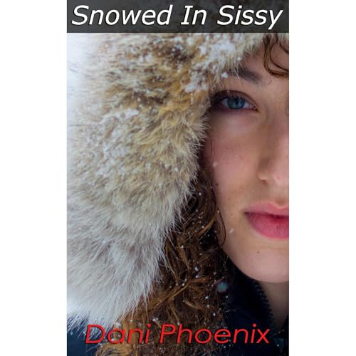 SNOWED IN SISSY by Dani Phoenix