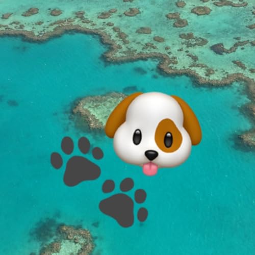 Moi, le chien Socrate by Unknown