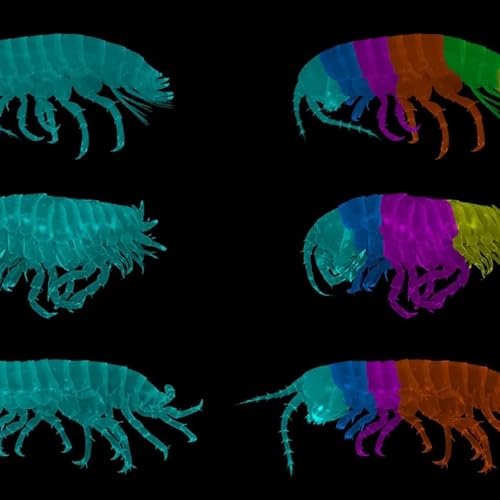 Disease X, COVID-19, and Bio-Hacking the Next Pandemic by Unknown