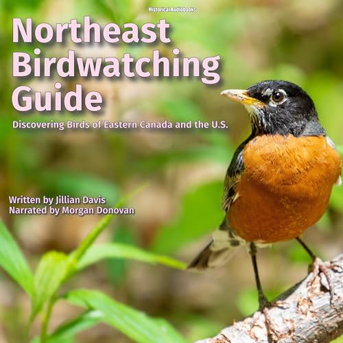Northeast Birdwatching Guide by Jillian Davis