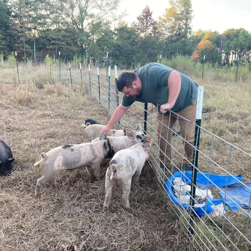 Homesteading Chef by Jonathan Boyd