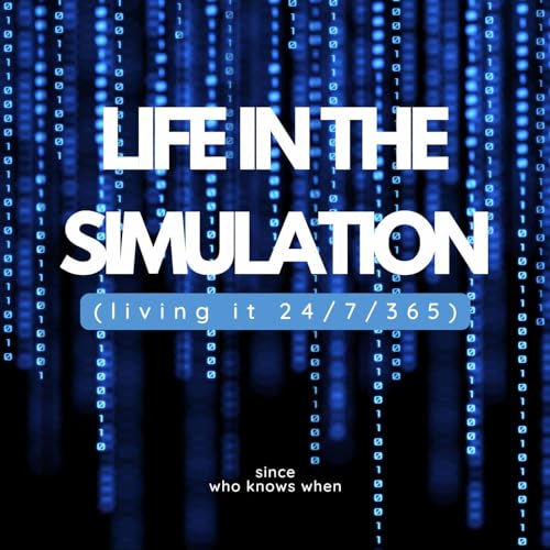 Life in the Simulation by Abe Fox