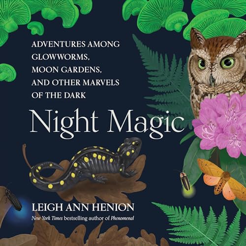 Night Magic by Leigh Ann Henion
