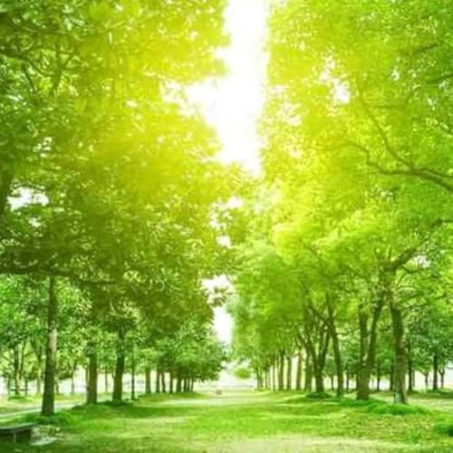 FinTech as a Service (FaaS) Radio by Mohamed Desoky