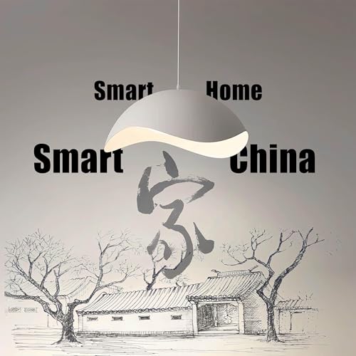 Smart Home, Smart China by Waer Zhang