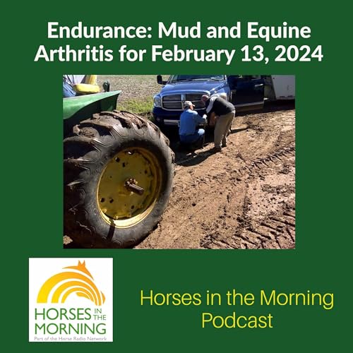 Endurance: Mud and Equine Arthritis for February 13, 2024 - Horses in the Morning by Unknown