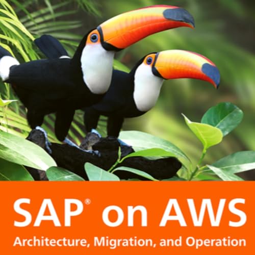 SAP on AWS Talk by Kashyap | Narikimelli | Singh
