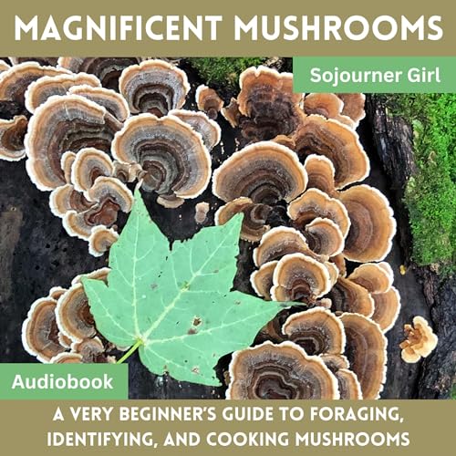 Magnificent Mushrooms by Sojourner Girl