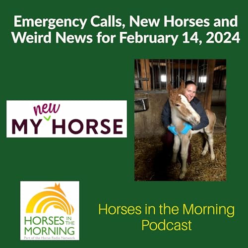 Emergency Calls, New Horses and Weird News for February 14, 2024 by State Line Tack - Horses in the Morning