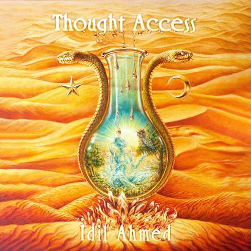 Thought Access by Idil Ahmed