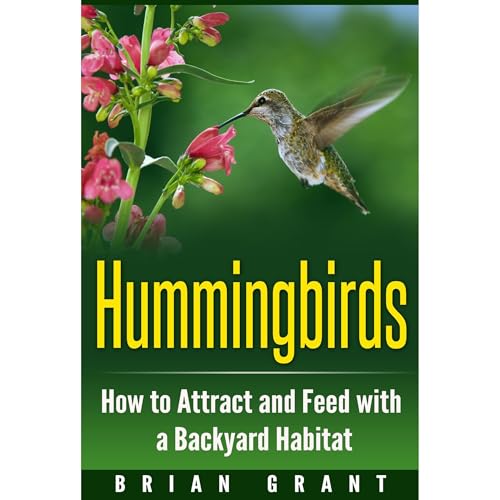 Hummingbirds: How to Attract and Feed with a Backyard Habitat