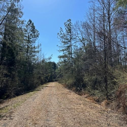 Audio Bible in Korean and English (한국어와 영어로 읽는 성경) by Audio Bible in Korean and English