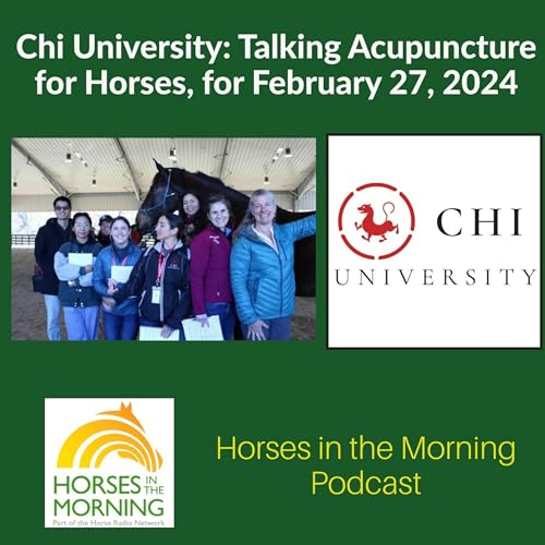 Chi University: Talking Acupuncture for Horses & Dogs, for February 27, 2024 - Horses in the Morning by Unknown