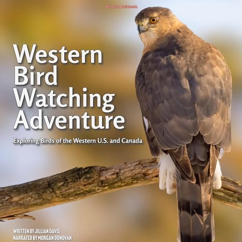 Western Bird Watching Adventure
