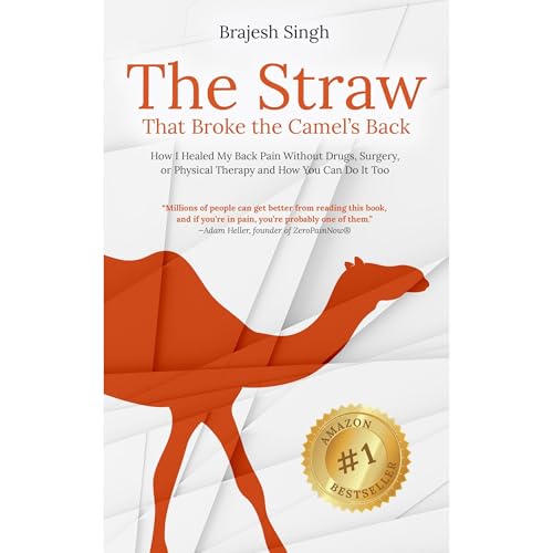 The Straw That Broke the Camel's Back by Brajesh Singh