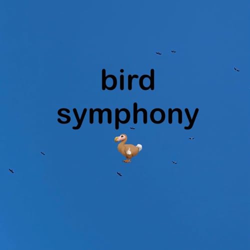 Bird Symphony 2024
