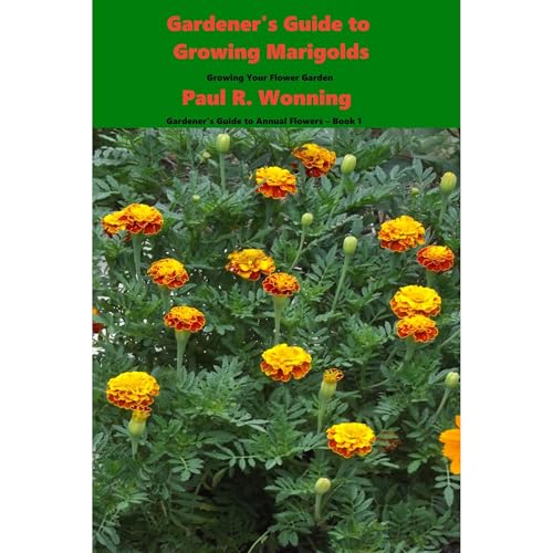 Gardener's Guide to Growing Marigolds