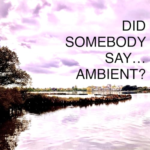 Did Somebody Say…Ambient? by Lonetapes