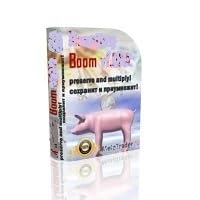 DOWNLOAD FOREX EA - Boom For MT4/MT5 by Unknown