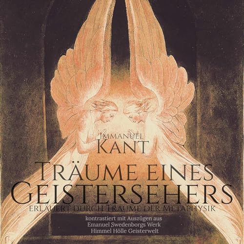 Träume eines Geistersehers