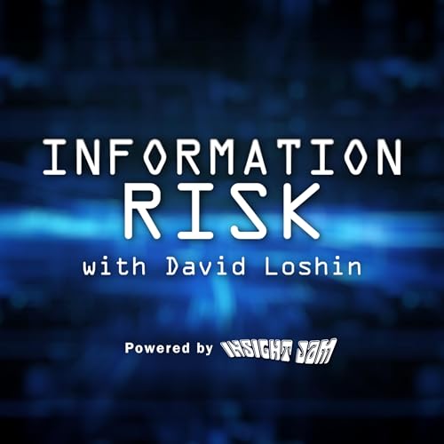Information Risk with David Loshin by Insight Jam