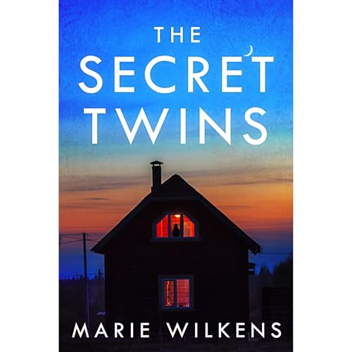 The Secret Twins: A Riveting Small Town Kidnapping Mystery by Marie Wilkens